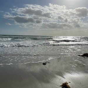 Meet your Posher, Barbara